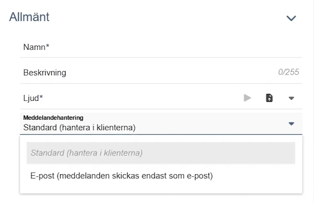 Formuläret för en delad röstbrevlåda: namn, ljud och val av meddelandehantering.